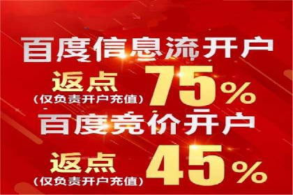某行业领先企业背后的百度推广代理商策略